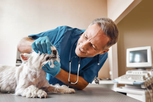 Best Emergency Broken Tooth Repair in Coachella, CA